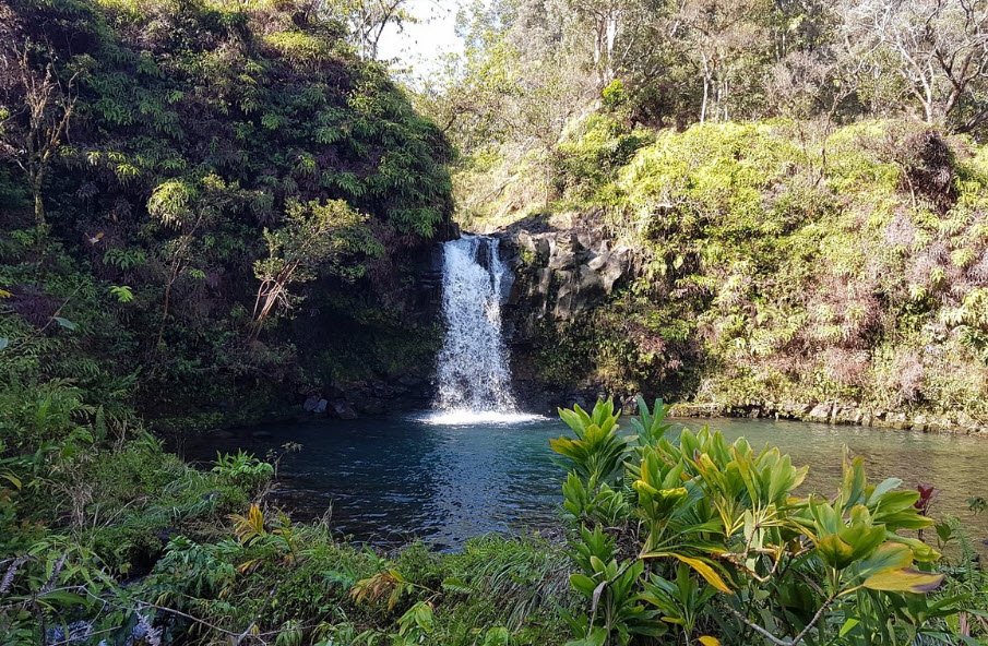 Pua'a Ka'a State Wayside